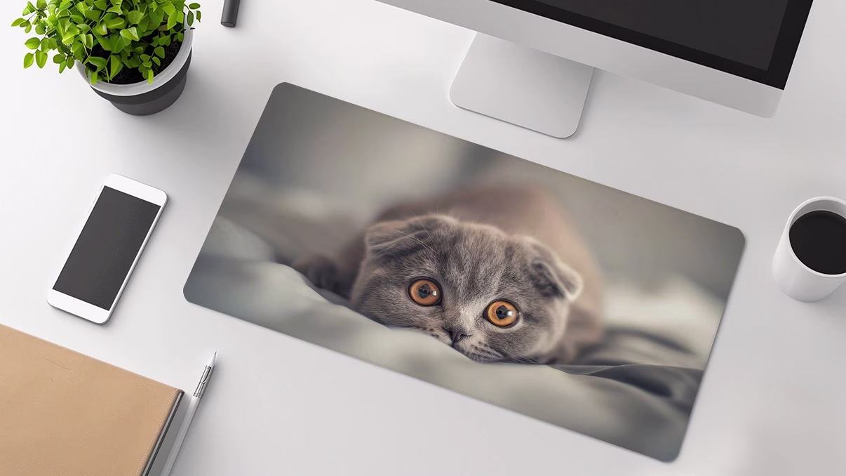 scottish fold cat cute desk pad